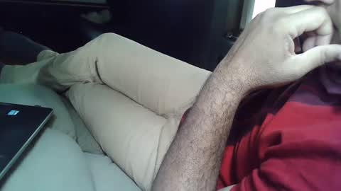 Grey Stud online show from March 2025 05:07:02 AM