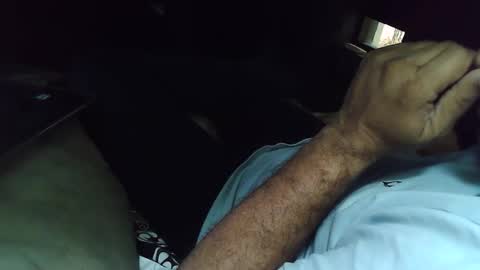 Grey Stud online show from March 2026 09:45:01 AM