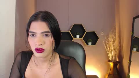 greys online show from September 2025 04:03:01 AM