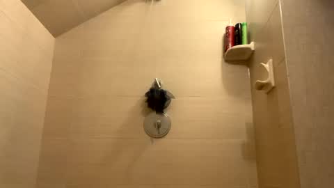 Perfectlyaveragesavage online show from December 2024 01:30:02 PM