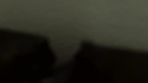 gronnn online show from January 2026 04:05:02 AM