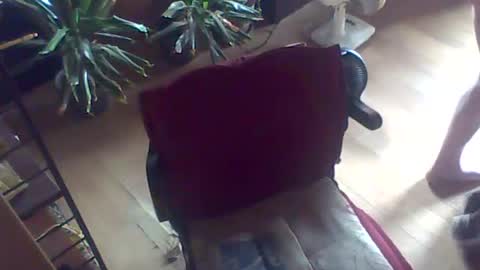 Guido online show from July 2026 10:55:01 AM