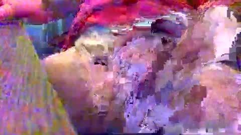 Gary online show from December 2024 02:37:02 AM