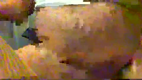 Gary online show from December 2024 04:29:02 AM