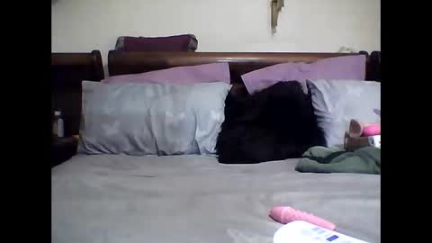 gucci-bx online show from March 2025 02:23:02 AM