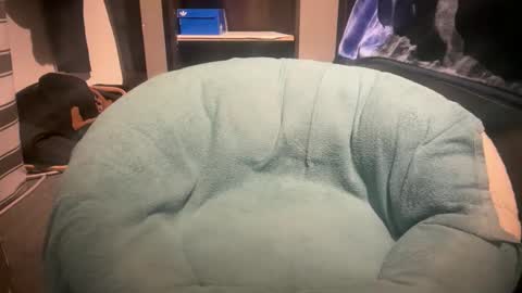 gumbywanna online show from January 2026 11:51:02 PM