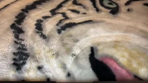 gumbywanna online show from March 2026 06:58:01 AM