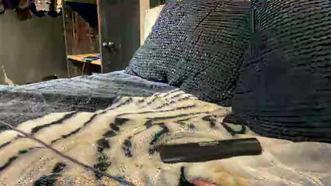 gumbywanna online show from March 2026 02:39:01 AM