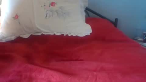 Snapshot of gunishment chatting on February 2025 01:08:02 PM gunishment online show from February 2025 01:08:02 PM