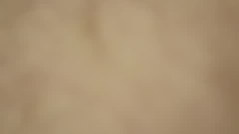 gush353363 online show from January 2026 12:58:02 AM