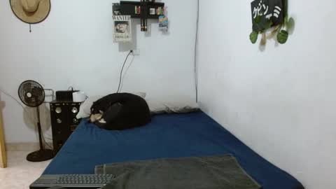 Guts online show from December 2024 05:33:02 PM