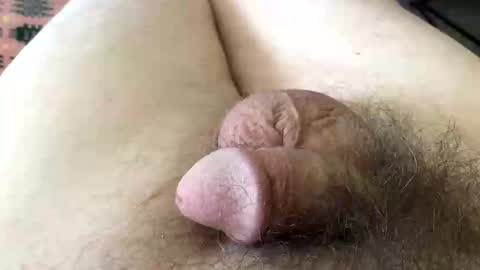 guttersnipe71 online show from April 2026 01:41:01 PM