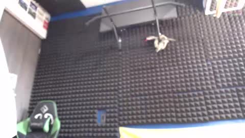 Gymbro42 online show from August 2026 05:37:02 PM