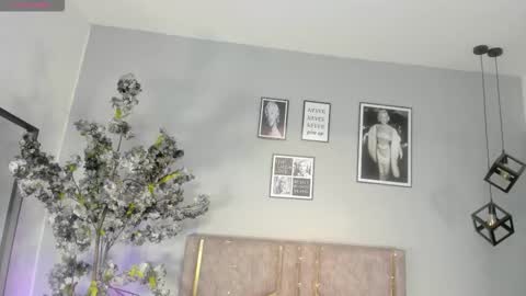 haileystonei online show from December 2025 11:27:02 AM