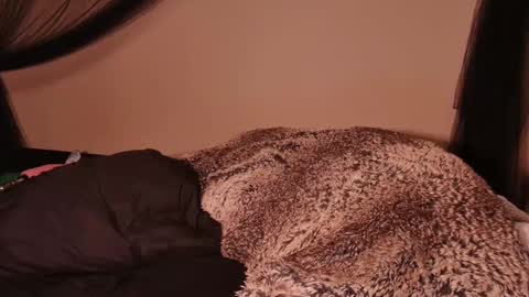 HailWilds online show from March 2025 02:59:02 AM