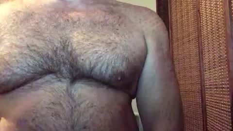 Snapshot of hairbear5 chatting on May 2026 02:22:02 PM Bruce online show from May 2026 02:22:02 PM