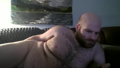 Hairiest Bear online show from January 2025 03:11:01 AM