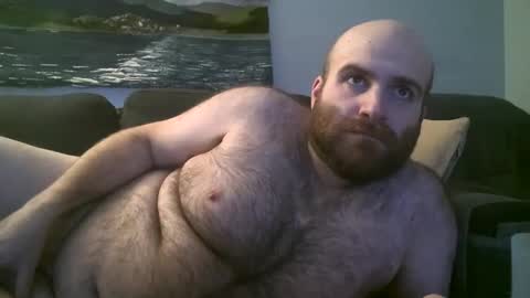 Hairiest Bear online show from January 2025 03:59:02 AM
