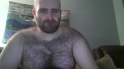 Hairiest Bear online show from February 2025 11:34:02 AM