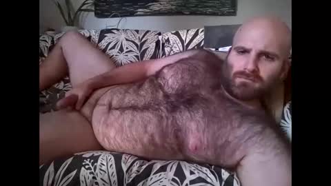 Hairiest Bear online show from October 2025 02:53:01 PM