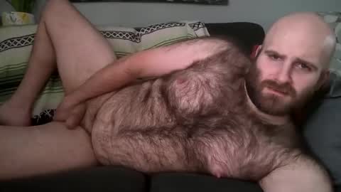 Hairiest Bear online show from February 2026 06:55:02 PM