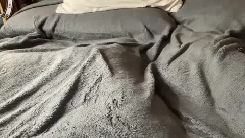 J  M online show from March 2025 06:01:01 AM