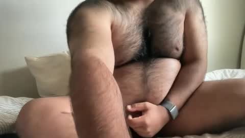 hairyaussie00 online show from December 2024 03:04:02 AM