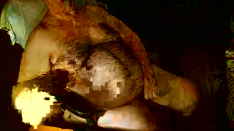 hairybear813 online show from January 2025 12:11:01 AM