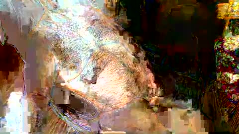 hairybear813 online show from January 2025 11:44:01 PM