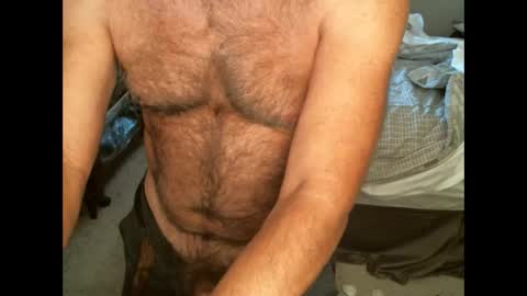 Hairy pecs online show from September 2025 11:15:01 PM