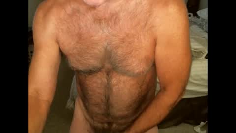 Hairy pecs online show from October 2025 06:31:01 AM