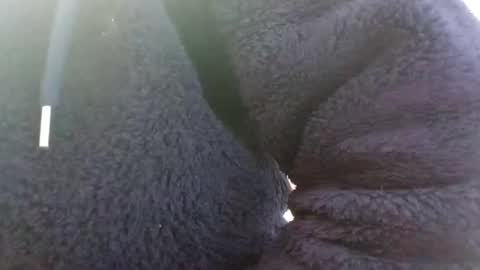 Snapshot of hairypussyxl chatting on January 2025 05:33:02 AM hairypussyxl online show from January 2025 05:33:02 AM