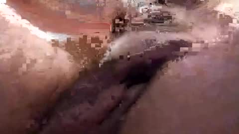 Marty online show from February 2025 08:07:01 AM