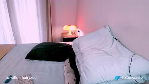 Zod Bakcheia online show from December 2024 05:29:02 PM