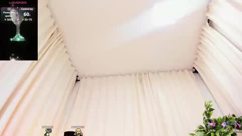 Haku Please help me with your thumbs up its important  online show from February 2025 11:26:02 PM