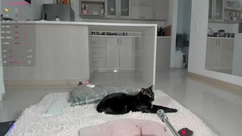 Snapshot of halliee chatting on December 2024 10:52:02 PM insta Laupalacio777Next stream 01th December online show from December 2024 10:52:02 PM