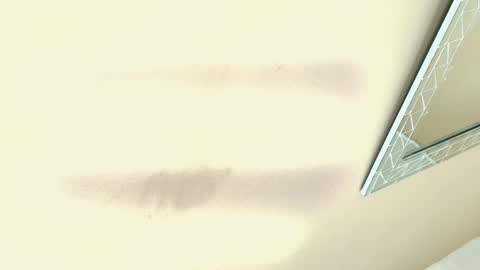 Hallie Stone online show from December 2025 12:01:02 PM