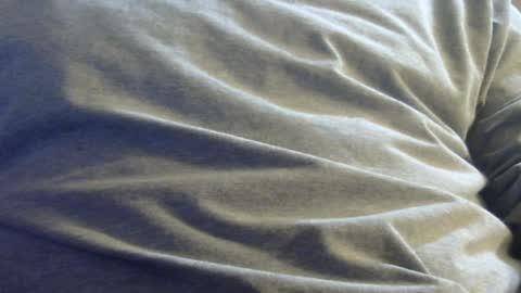 hamhead71 online show from January 2025 03:17:02 AM