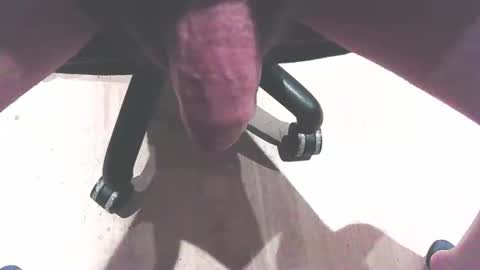 hammerhard1 online show from February 2026 12:46:02 PM