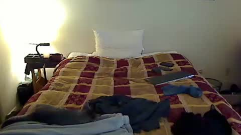 hammerthatthang73 online show from November 2025 06:42:02 PM