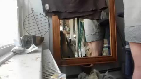 handncocknocum online show from December 2024 08:05:01 AM