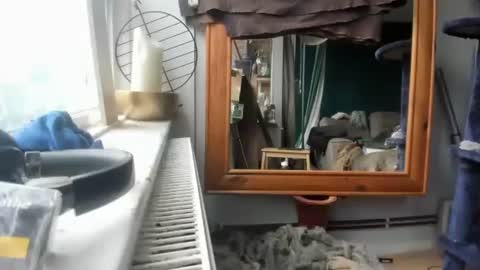 handncocknocum online show from December 2024 11:17:01 AM