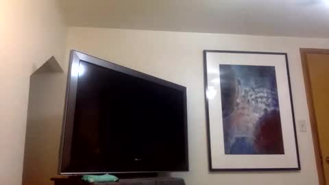 handsome01_ online show from December 2025 05:05:01 AM