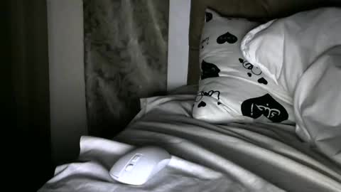 handsome king online show from December 2024 09:27:01 AM