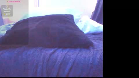 handyman732438 online show from March 2026 11:28:02 AM