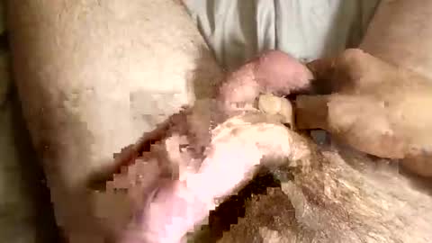 hanescockncum online show from September 2025 11:59:01 AM