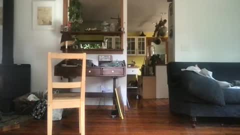 hanhuman online show from September 2025 06:46:01 PM