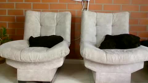 hanna online show from January 2025 06:32:02 PM