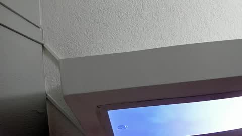 HANNY online show from February 2025 11:54:02 AM