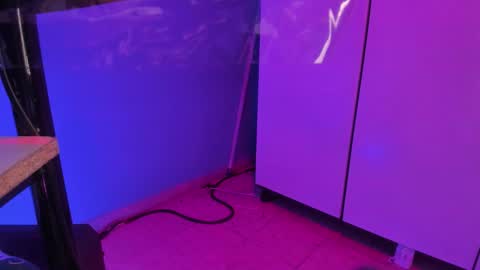 hannyk_ online show from February 2026 11:38:02 AM